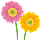 f